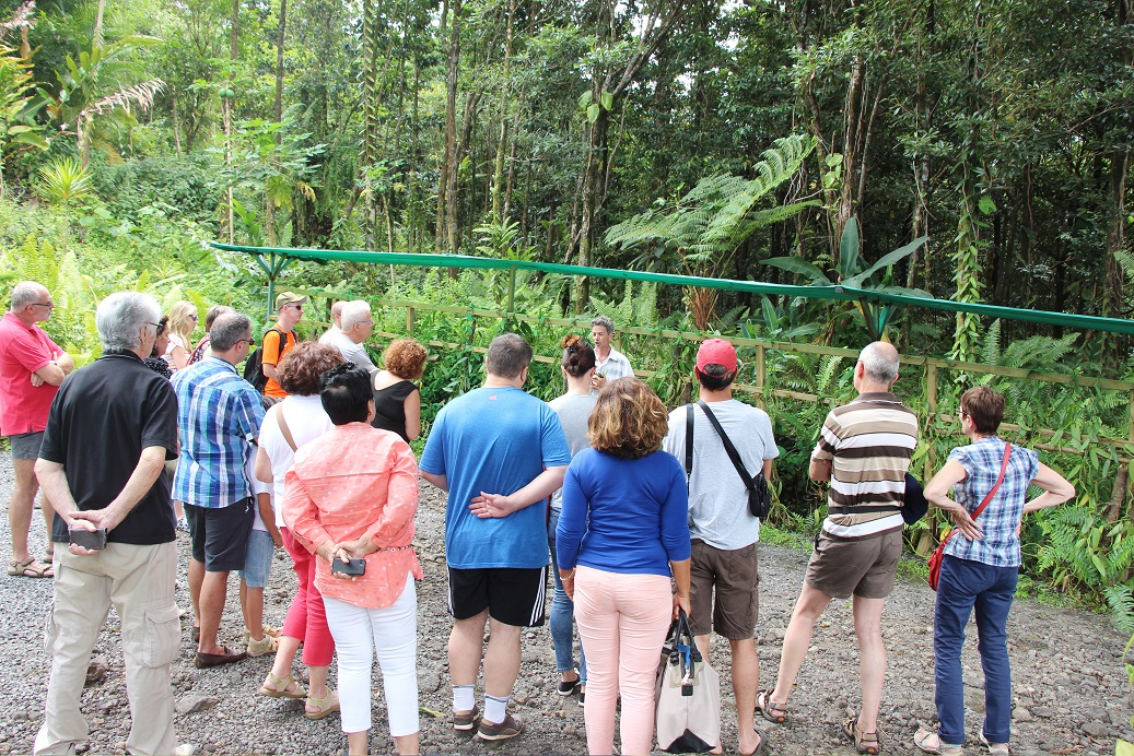Visite guidée Escale Bleue — plantation vanille