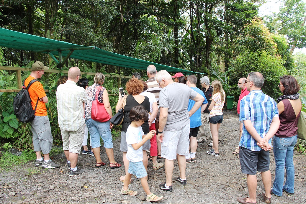 Séchage naturel des gousses de vanille sur claies