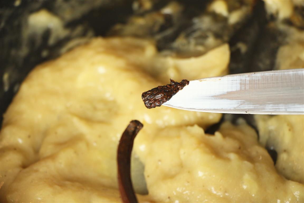 Compote banane — moulage cercle rond
