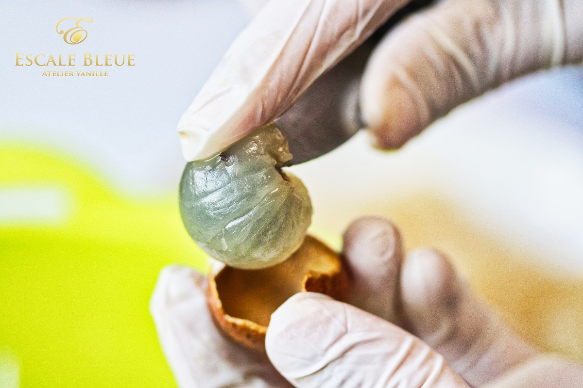 Lavage du riz — recette longanes riz bleu