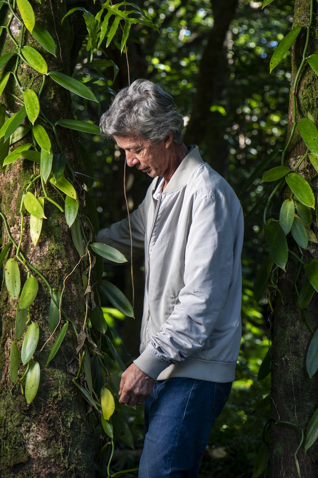 Co-fondateur LEICHNIG Aimé dans une Plantation de vanille – ©Jean Philippe Bouchiat