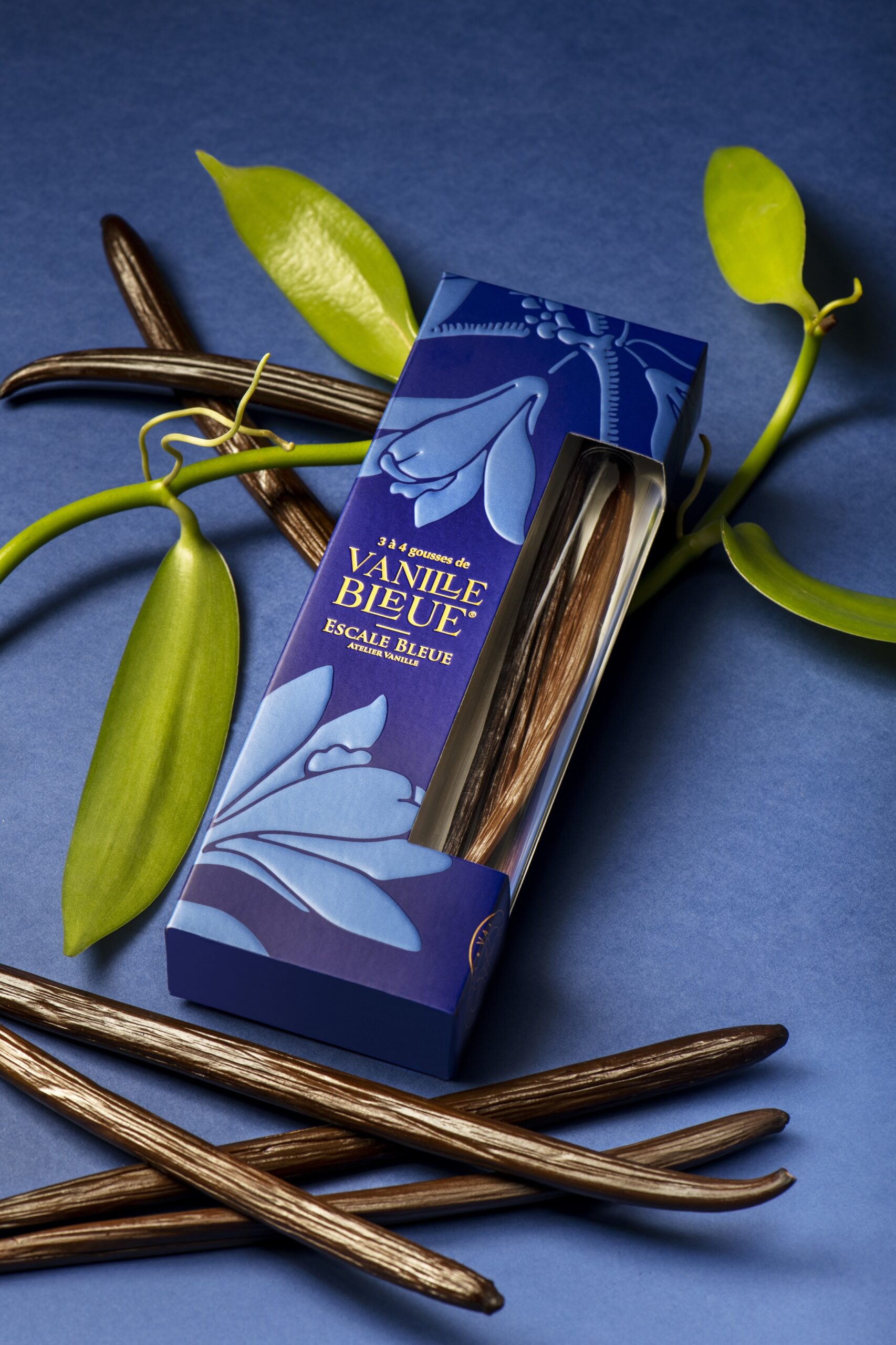 Photo Vanille Bleue 2- ©Jean Philippe Bouchiat