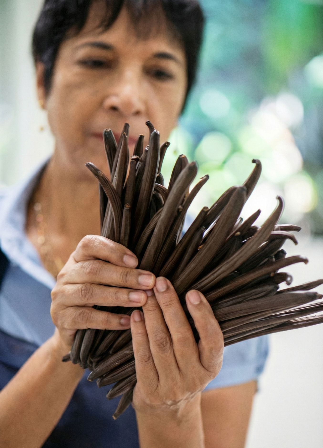 Vanille Bleue production