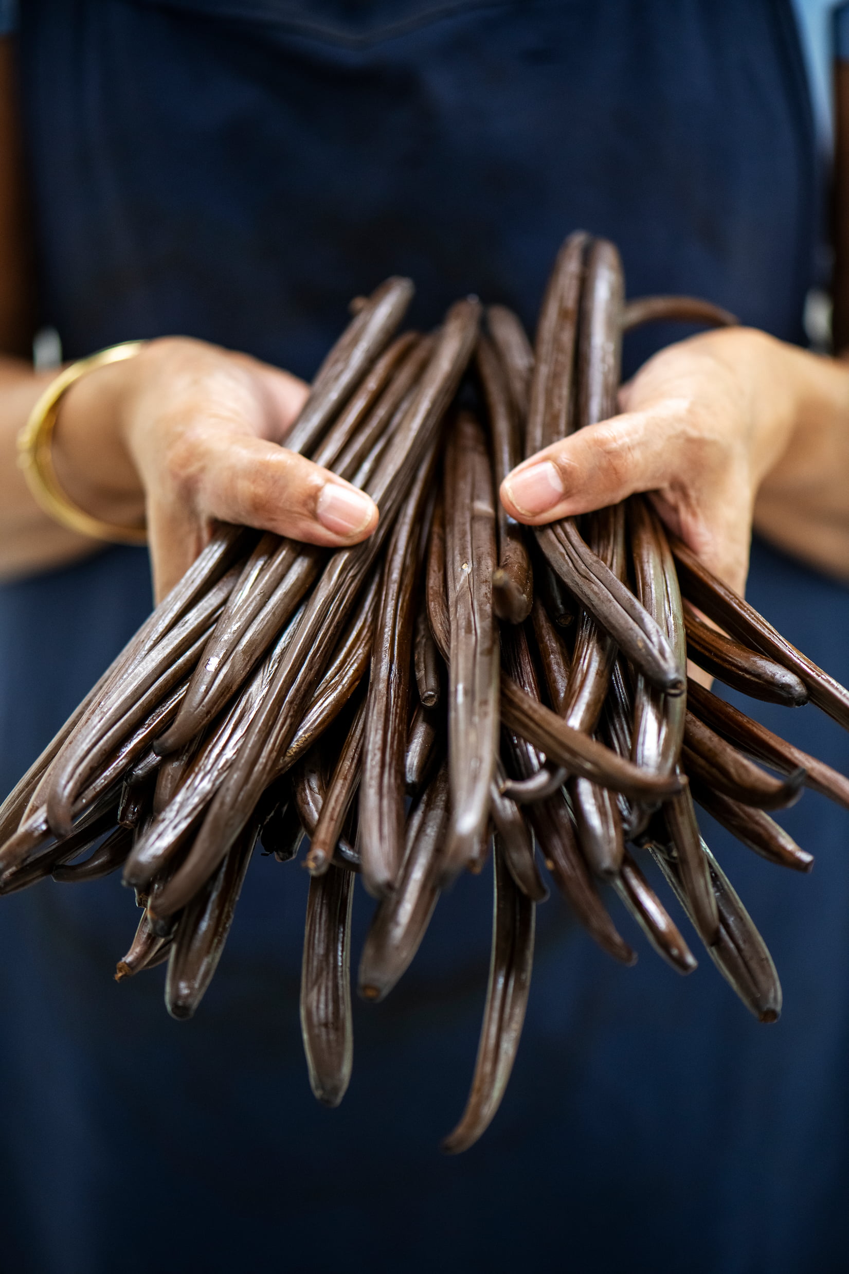Gousses vanille bleue Gousses de Vanille Bleue affinées par Escale Bleue à Saint-Philippe, La Réunion