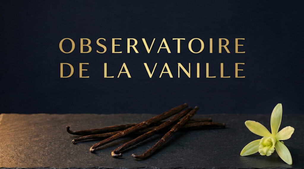 Observatoire de la vanille banner Observatoire de la Vanille — veille et analyses sur le marché mondial de la vanille par Escale Bleue